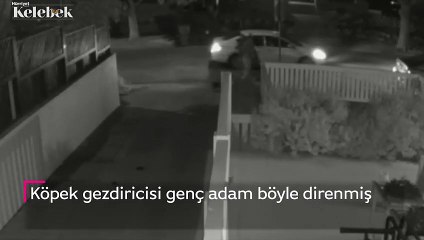 Lady Gaga'nın köpeklerini böyle çalmışlar