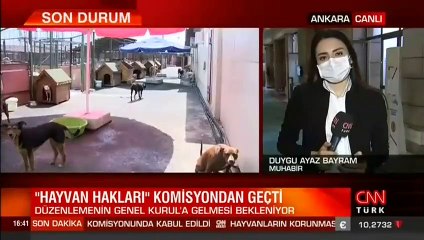 Hayvan hakları yasası komisyonda kabul edildi