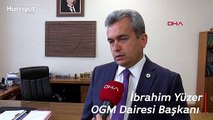 Yanan ormanlar 3 yöntemle ağaçlandırılacak