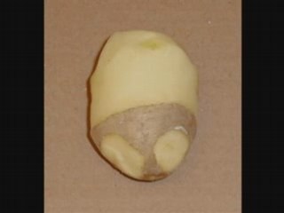 L'intrus Mental - Garde La Patate