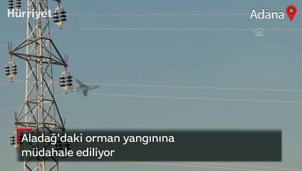 Adana Aladağ'daki orman yangınına müdahale ediliyor