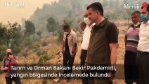 Tarım ve Orman Bakanı Bekir Pakdemirli, yangın bölgesinde incelemede bulundu