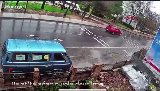 Balat'ta ağacın yola devrilme anı