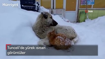 Tunceli'de yürek ısıtan görüntüler