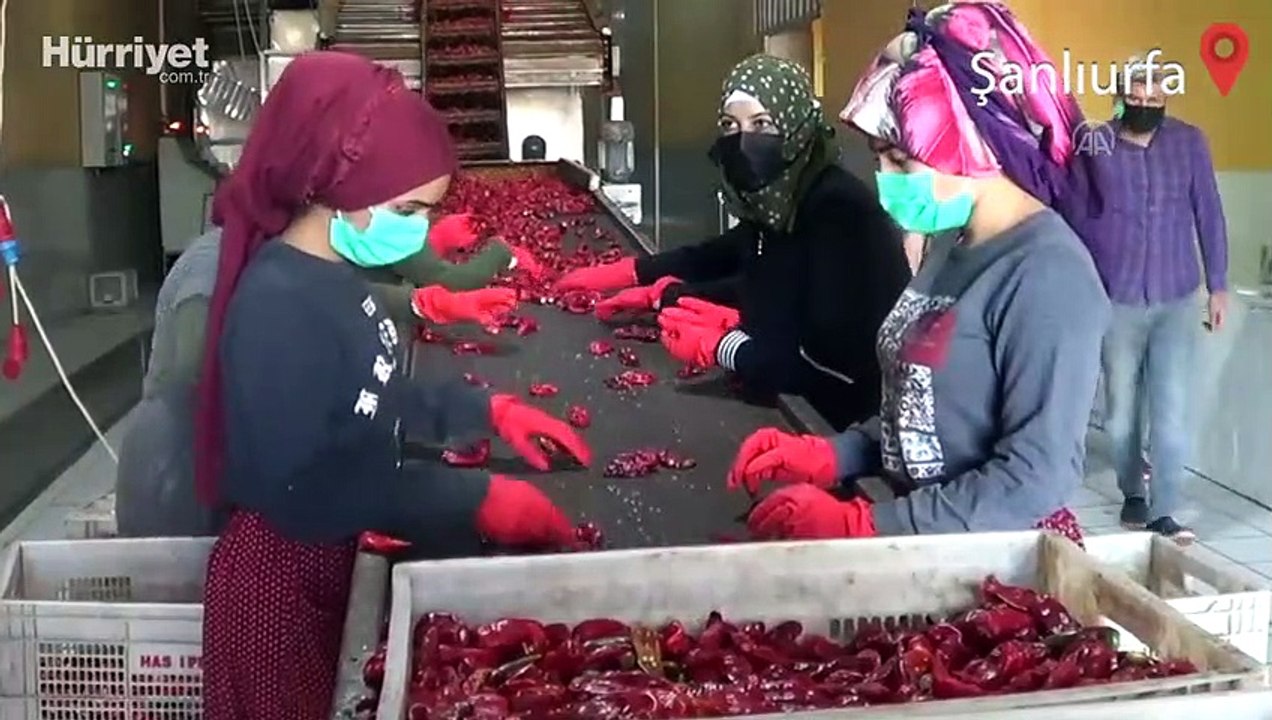 Türkiye'nin pul biber ihracatı 9 ayda yüzde 28 arttı