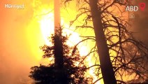 Kaliforniya eyaletinde orman yangınları yerleşim yerlerini tehdit etmeye devam ediyor