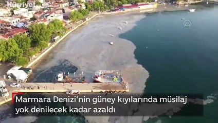 Marmara Denizi'nin güney kıyılarında müsilaj yok denilecek kadar azaldı
