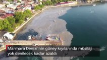 Marmara Denizi'nin güney kıyılarında müsilaj yok denilecek kadar azaldı