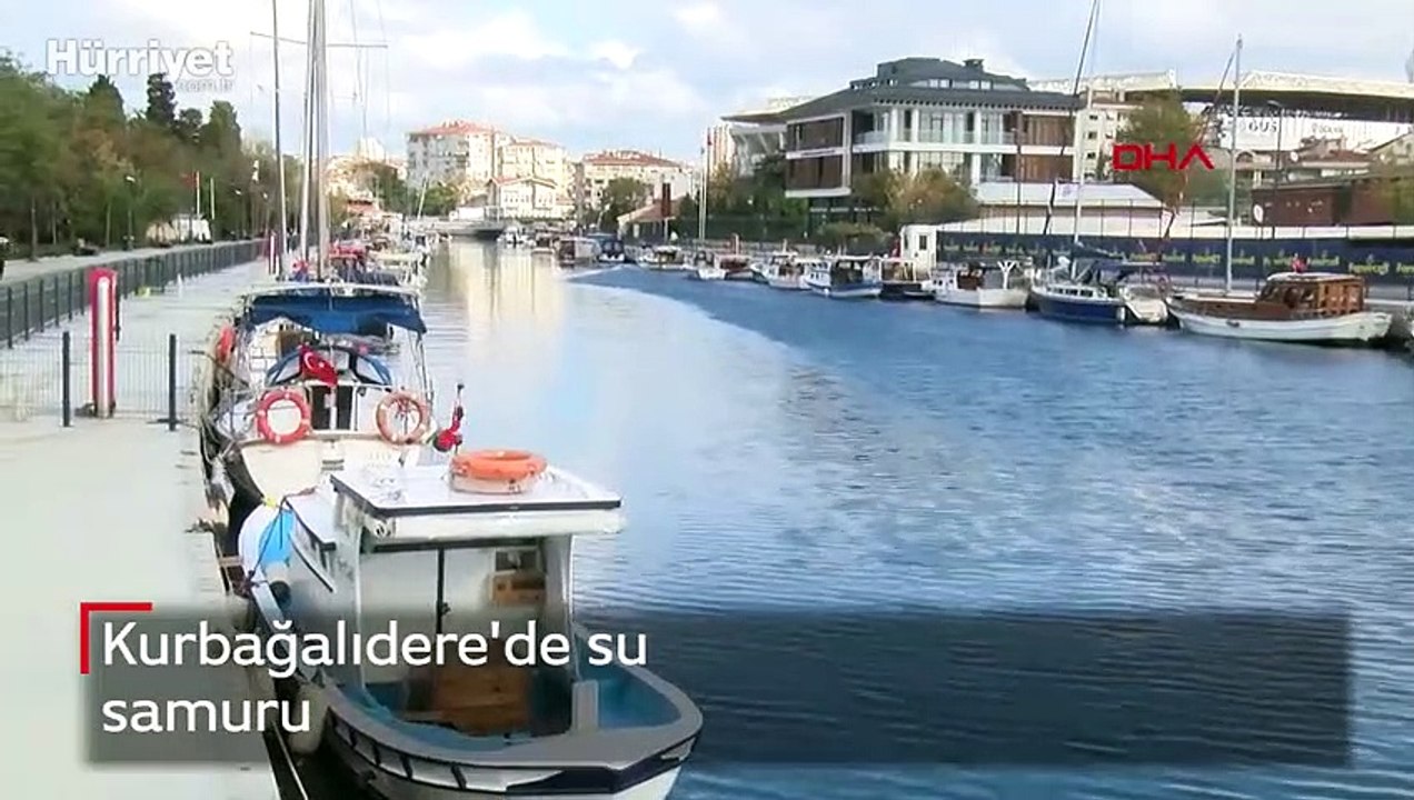 Kurbağalıdere'de su samuru