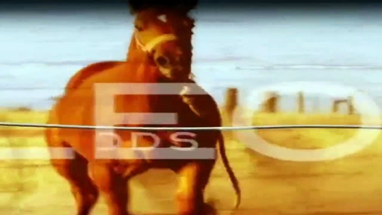 McLeods Töchter Staffel 4 Folge 22 HD Deutsch