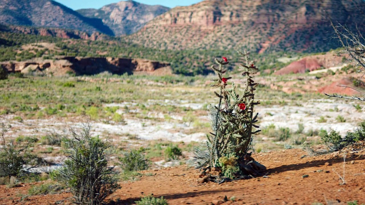 The Girlfriend Experience Staffel 2 Folge 14 HD Deutsch