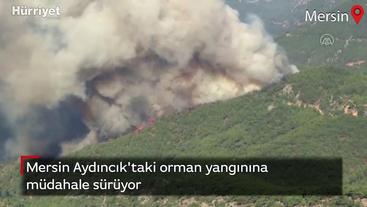 Mersin Aydıncık'taki orman yangınına müdahale sürüyor