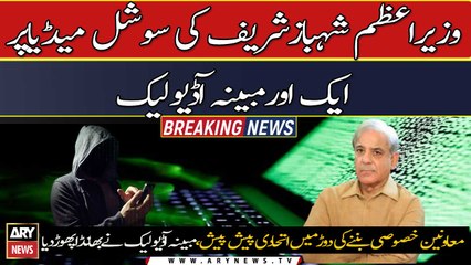One more alleged audio clip of PM Shehbaz Sharif leaks online
