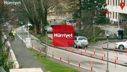 TBMM yerleşkesindeki tarihi ağaca yıldırım düştü