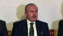 TBMM Başkanı Mustafa Şentop'tan 'siyasi cinayet' iddialarıyla ilgili açıklama