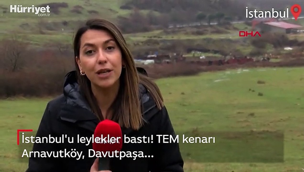İstanbul'u leylekler bastı