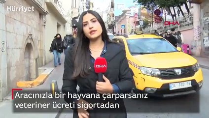 Aracınızla bir hayvana çarparsanız veteriner ücreti sigortadan