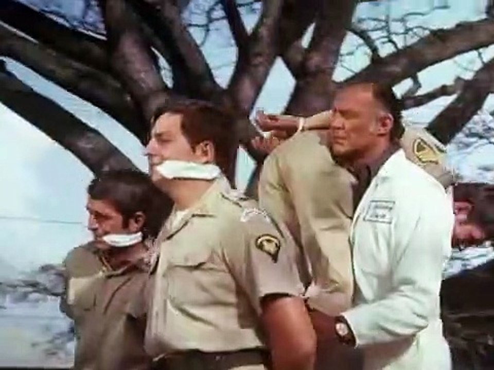 Hawaii Fünf - Null Staffel 5 Folge 6 HD Deutsch