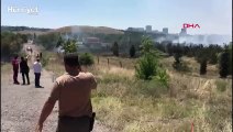 Atatürk Orman Çiftliği arazisinde yangın çıktı