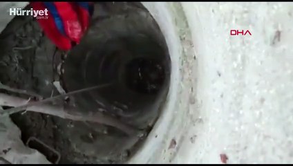 Beylikdüzü'nde itfaiyeden keçi kurtarma operasyonu