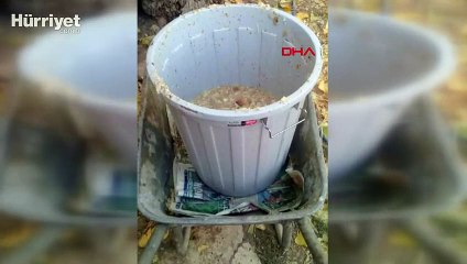 Yürek yakan görüntü! Veterinere 34 bin TL ceza