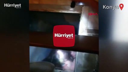 Polisin geldiğini görünce, tuvalete ve sahnenin altındaki bölüme saklandılar