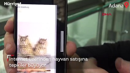 İnternet üzerinden hayvan satışına tepki