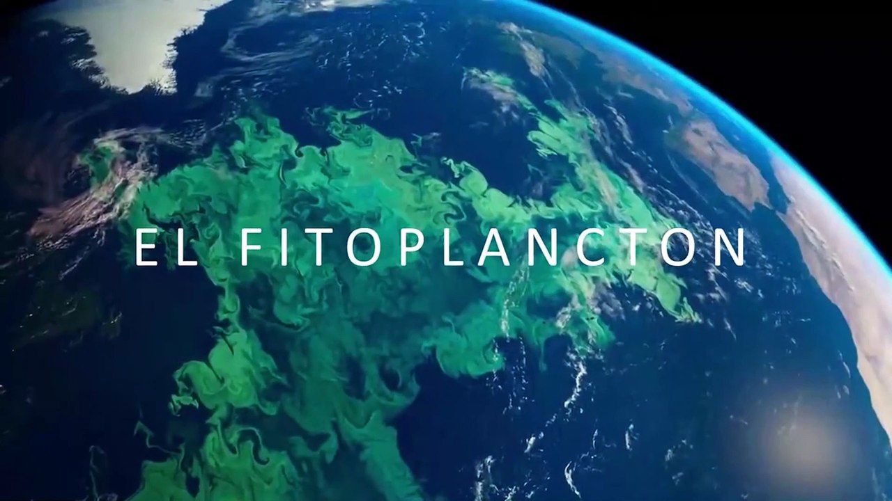 Vulcão de Tonga: erupção gigante ajudou a natur...