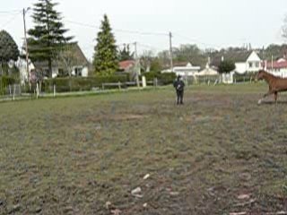 15 mars 08 koba explose!lol