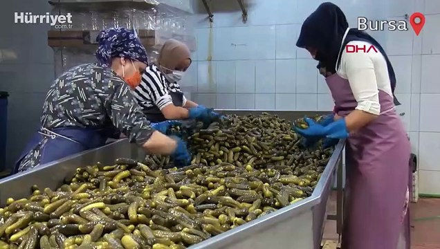 'Turşu göçü' ilçede nüfusu ikiye katlıyor