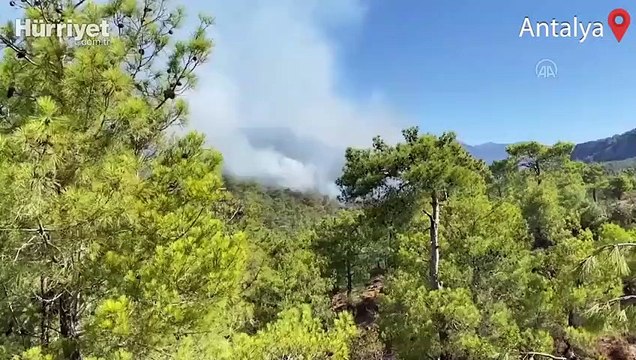 Antalya'nın Gazipaşa ilçesindeki orman yangınına müdahale ediliyor