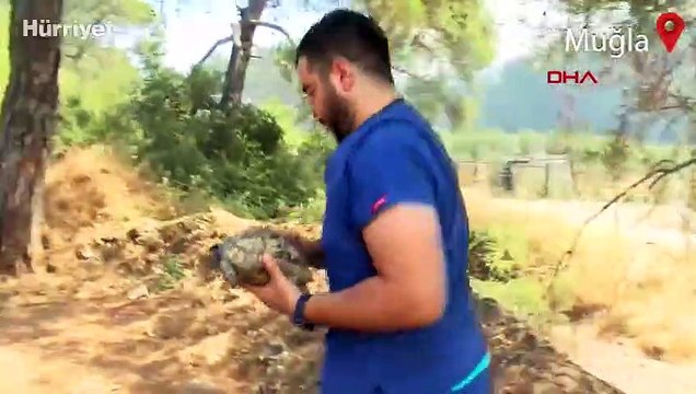 Marmaris-Datça Karayolu bölgesinde büyük mücadele