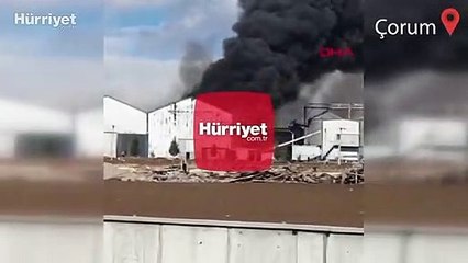 Çorum'da yağ fabrikasındaki yangın söndürüldü
