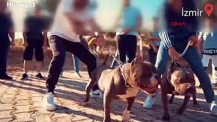 Jandarma'dan 'Ayrancılar mini Kolombiya' çetesine operasyon! Klip çekip yayınlamışlar