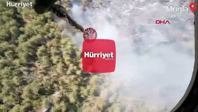 Muğla'nın Milas ilçesinde orman yangını çıktı