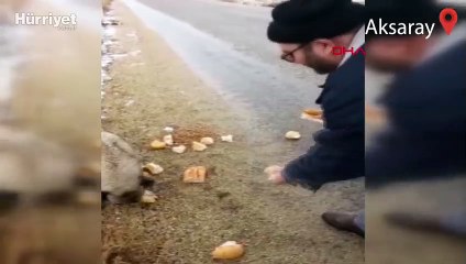 Karlı havada 60 kilometre gitti, köpekleri besledi
