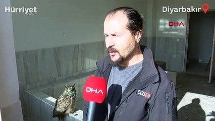 Doç. Dr. Kaya: Yaban hayatı tehlikede