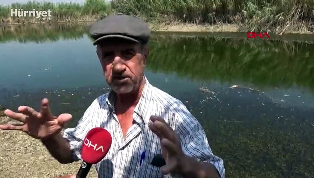 Büyük Menderes Nehri'nin eski yatağındaki kuraklık canlıları da vurdu