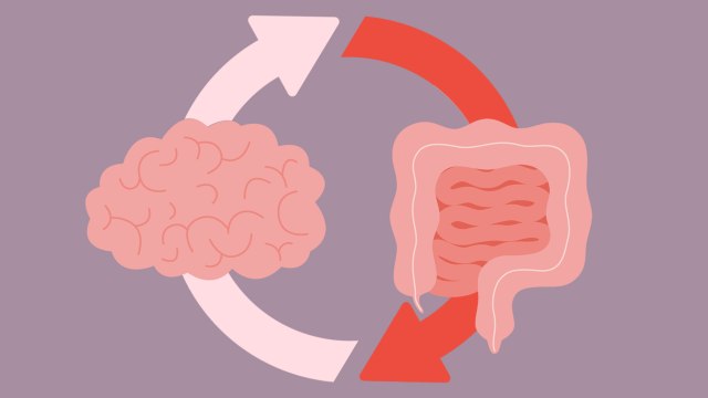 How Poor Gut Health Can Increase Anxiety and Depression Risk & What to Eat to Help