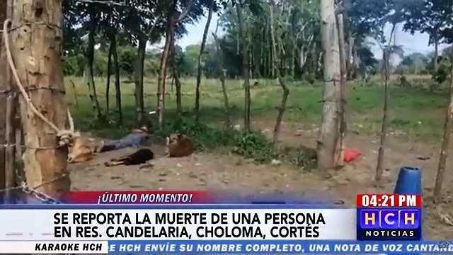 Encuentran a una persona muerta en res. Candelaria de Choloma, Cortés