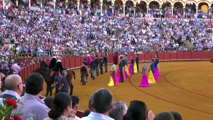 Sevilla 12-10-2022 festival