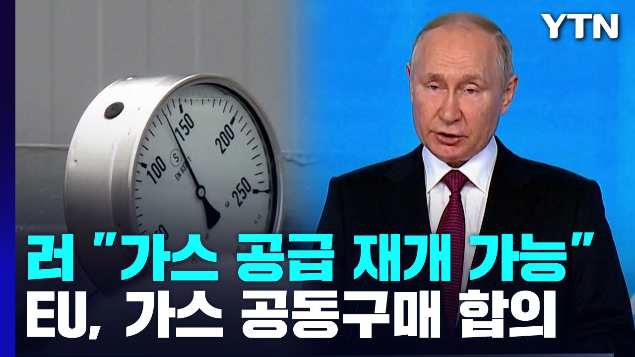 푸틴 "유럽에 가스 공급 가능"...EU, 공동구매 합의 / YTN