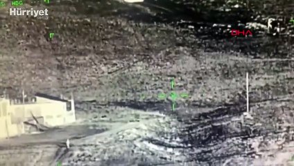 Van'da, helikopter destekli kaçak göçmen operasyonu 48 kişi yakalandı