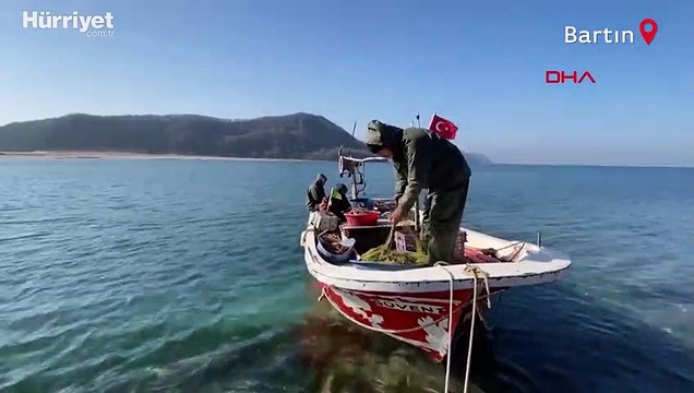Yunuslar tekneyle yarıştı o anlar görsel şölen oluşturdu