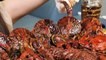 Spicy Octopus Seafood Noodle Ramen Jjajang Recipe Mukbang ASMR Ssoyoung