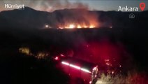 Ankara Nallıhan Kuş Cenneti’nde çıkan yangın kontrol altına alındı