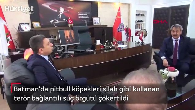 Batman'da pitbull köpekleri silah gibi kullanan terör bağlantılı suç örgütü çökertildi