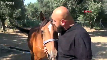 Şiddet mağduru hayvanların umudu oldu