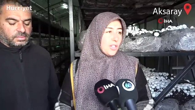 Yüzde 70 hibeyle mantar çiftliği kurarak kendi işinin patronu oldu