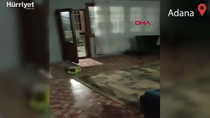 'Her şeyi göze alıyorum' diyerek yerde tekmelediği kadını dakikalarca darbetti